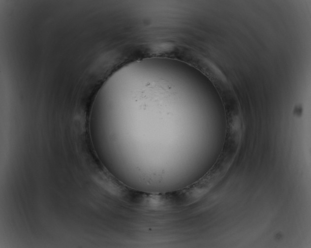 X0000102000565200807181207