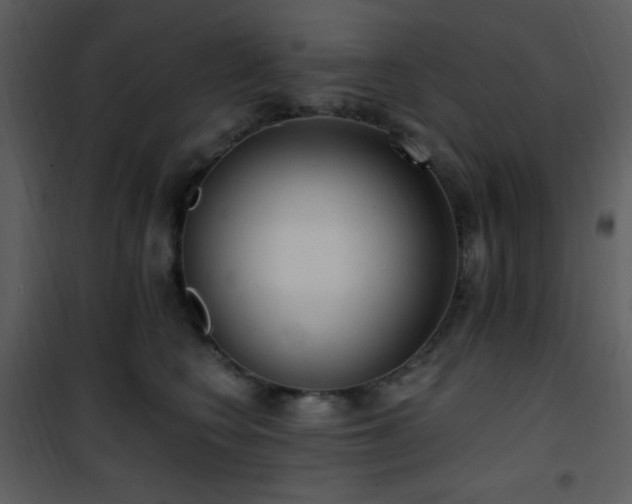 X0000102000566200807181207