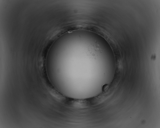 X0000102000567200807181208