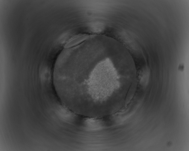 X0000102000568200807181208