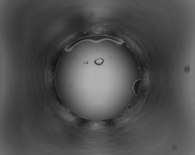 X0000102000569200807181208