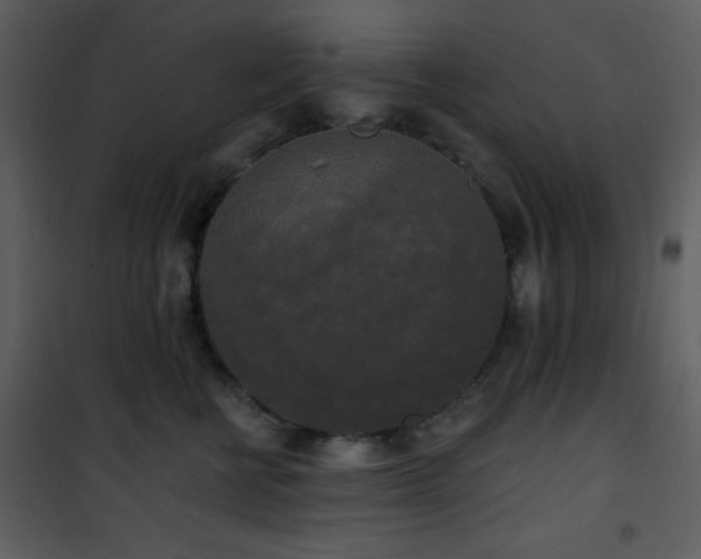 X0000102000570200807181208