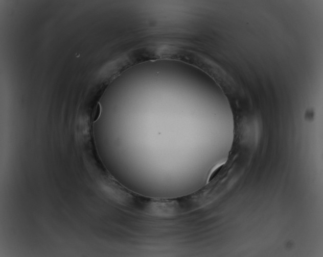 X0000102000571200807181208