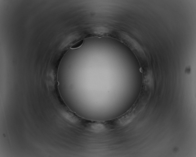 X0000102000572200807181208