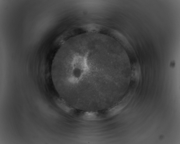 X0000102000573200807181208