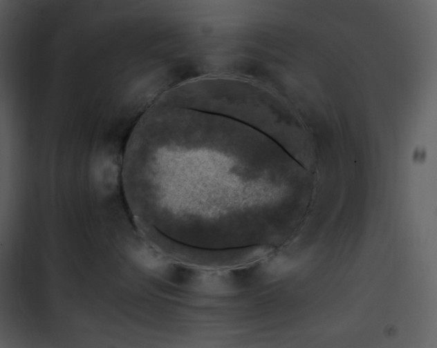 X0000102000576200807181208