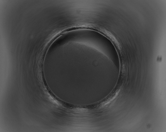 X0000102000577200807181207