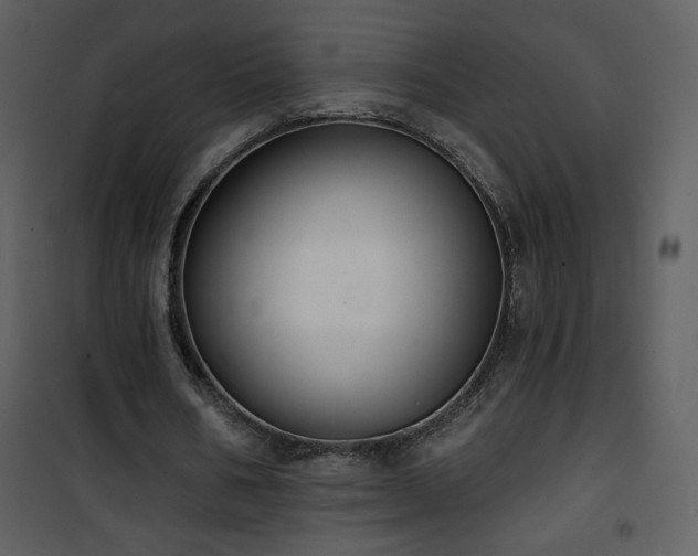 X0000102000578200807181207