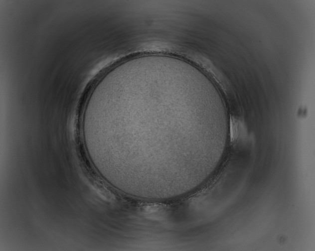 X0000102000579200807181207