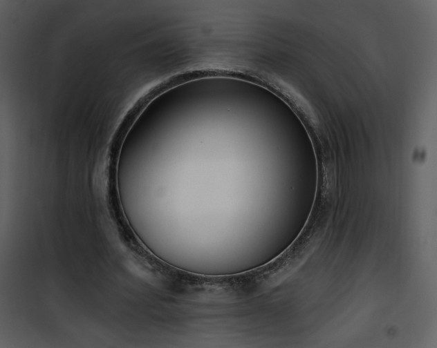 X0000102000580200807181207