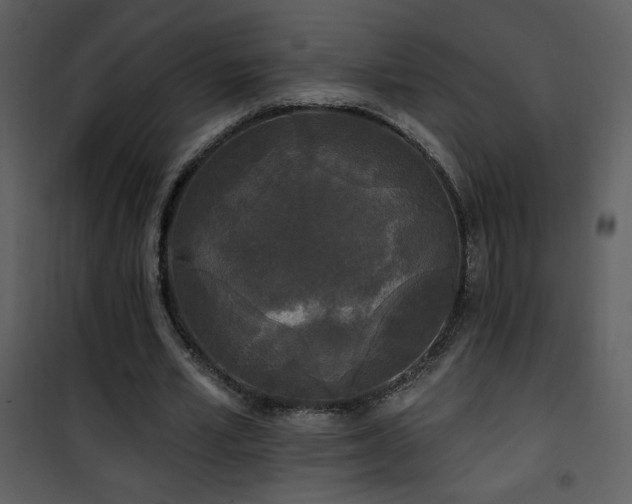 X0000102000581200807181207