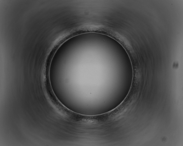 X0000102000582200807181207