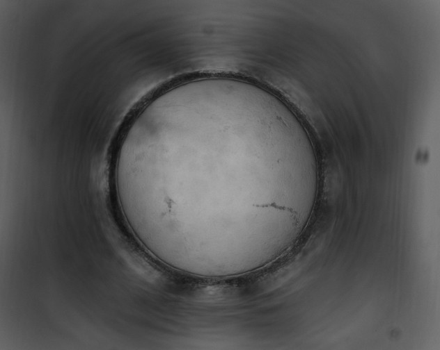 X0000102000584200807181207