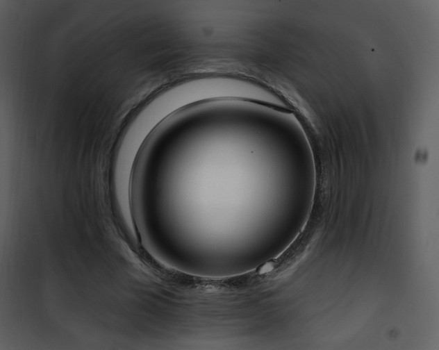 X0000102000585200807181207