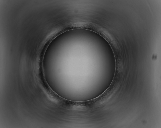 X0000102000586200807181207