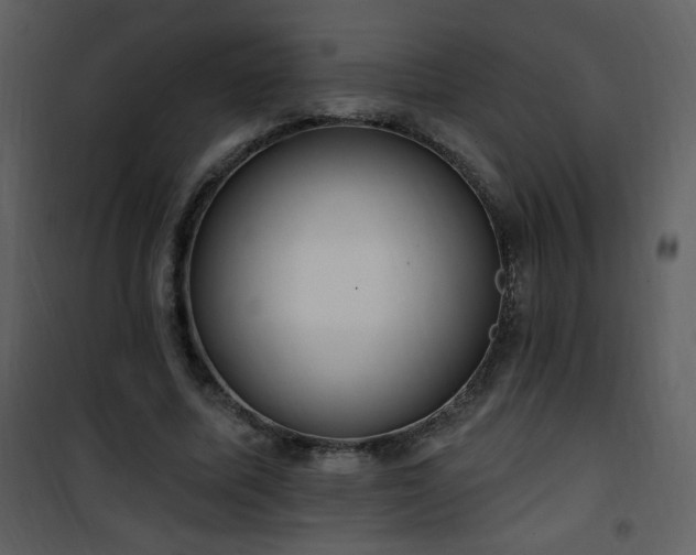 X0000102000587200807181207