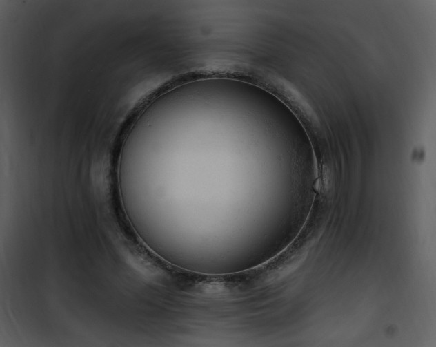 X0000102000588200807181207