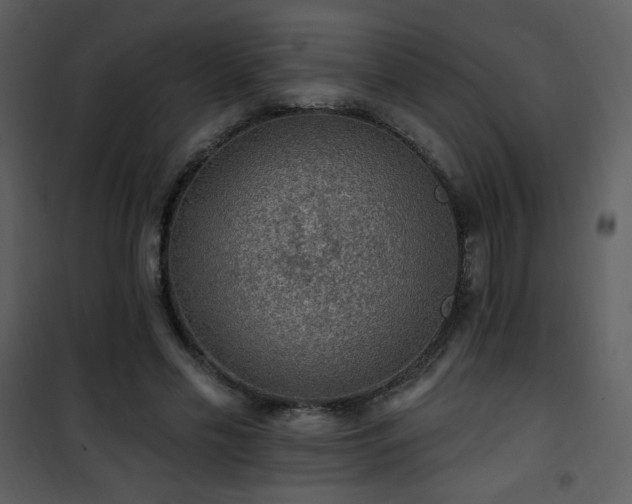 X0000102000589200807181207