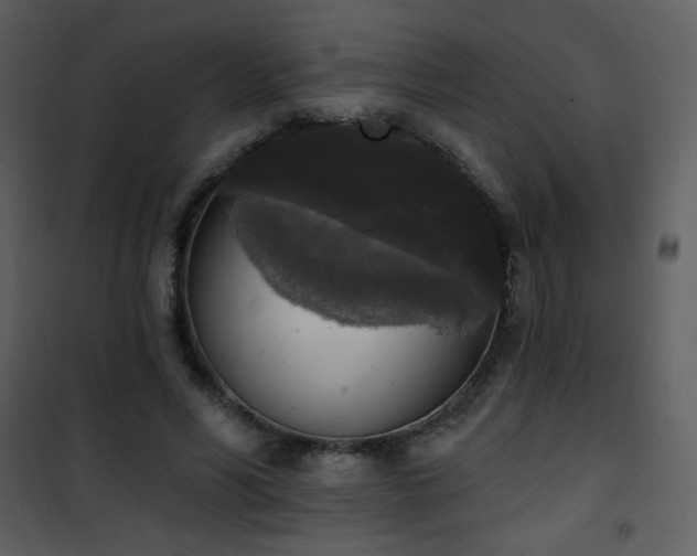 X0000102000590200807181207