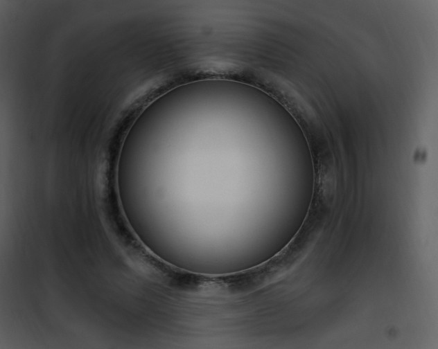 X0000102000591200807181207