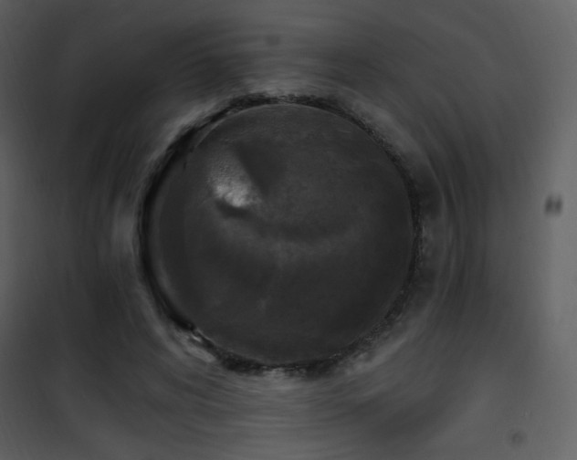 X0000102000592200807181207