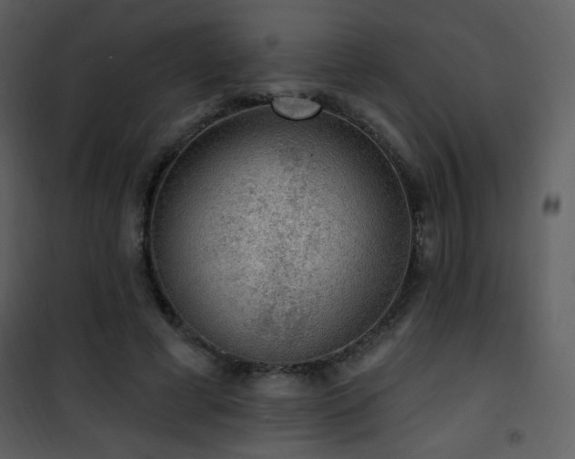 X0000102000593200807181207