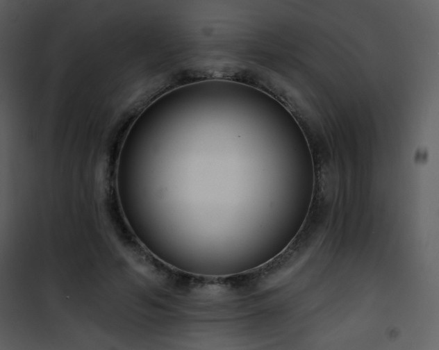 X0000102000594200807181207