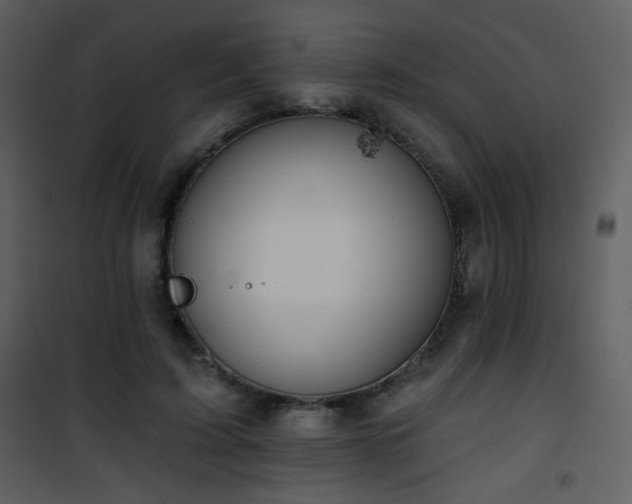 X0000102000595200807181207