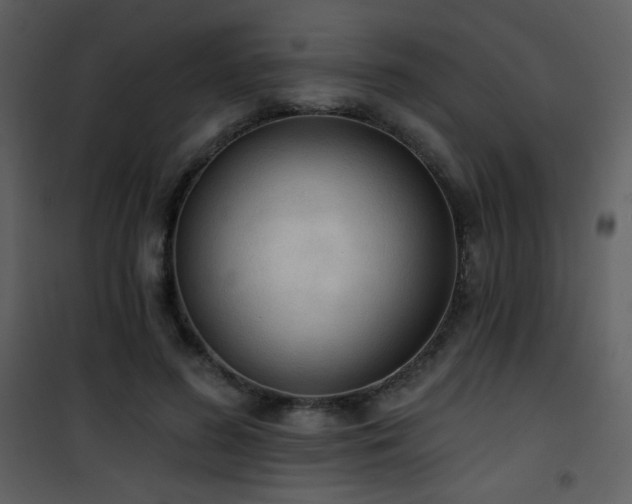 X0000102000596200807181207