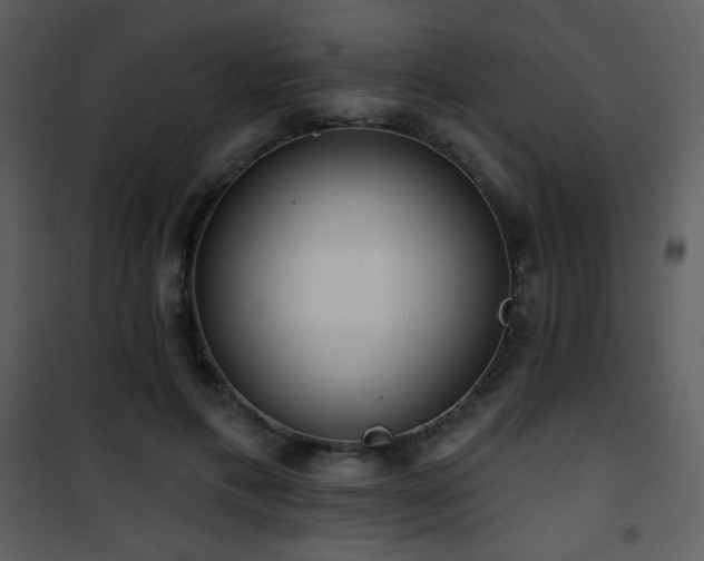 X0000102000597200807181207