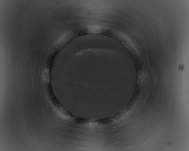 X0000102000598200807181207