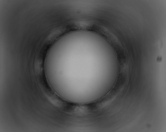 X0000102000599200807181207