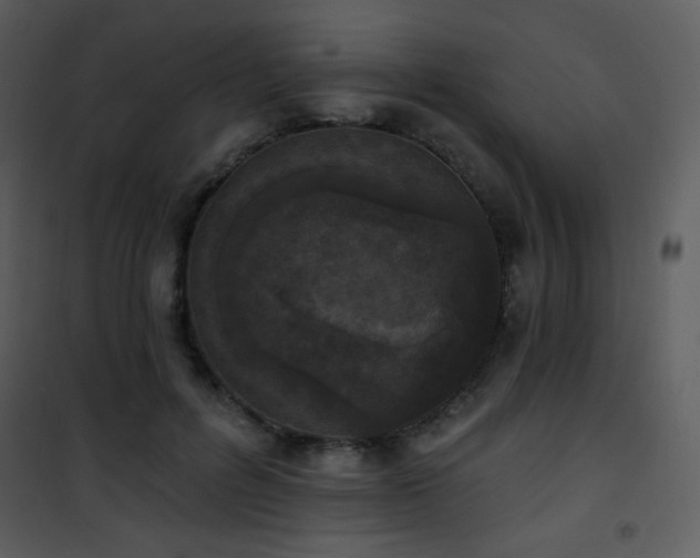 X0000102000600200807181207