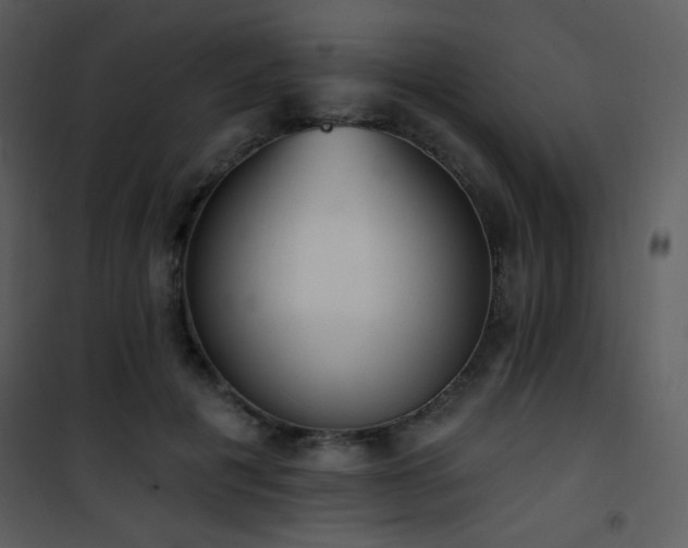 X0000102000601200807181207