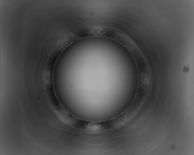 X0000102000602200807181207