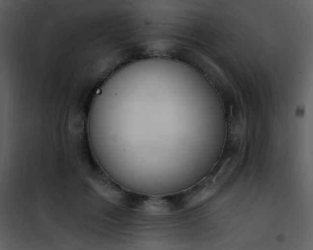 X0000102000603200807181207