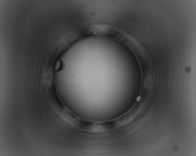 X0000102000604200807181207