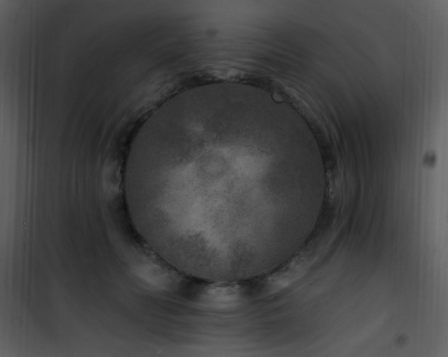 X0000102000606200807181207