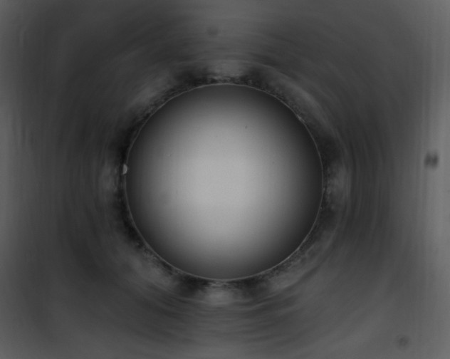 X0000102000608200807181207