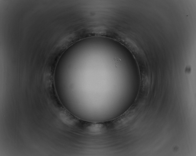 X0000102000609200807181206