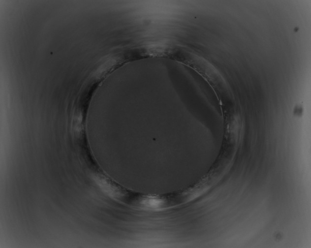 X0000102000610200807181206