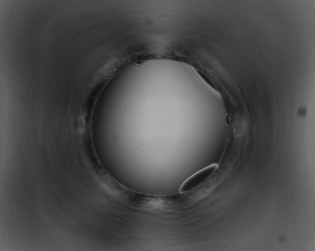 X0000102000611200807181206