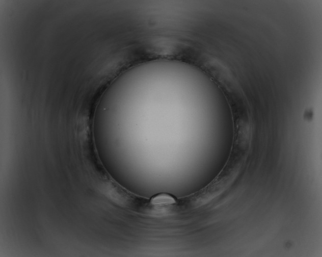 X0000102000612200807181206