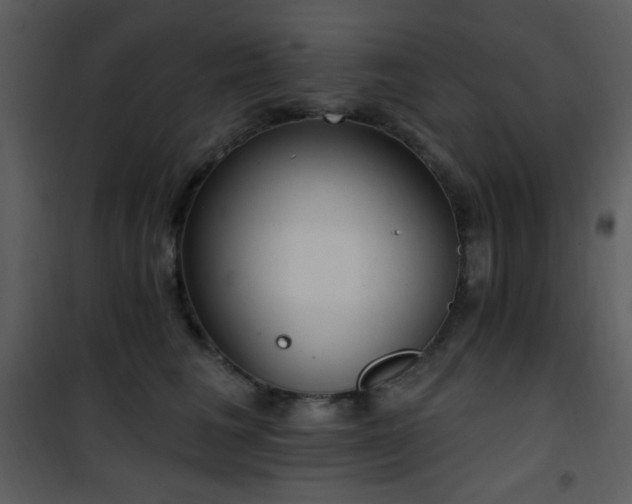 X0000102000613200807181206