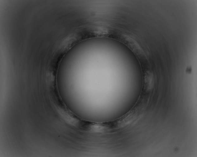 X0000102000614200807181206