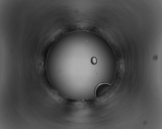 X0000102000615200807181206