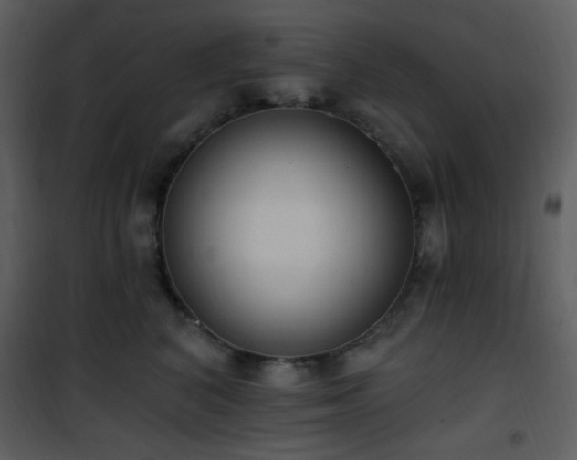 X0000102000616200807181206