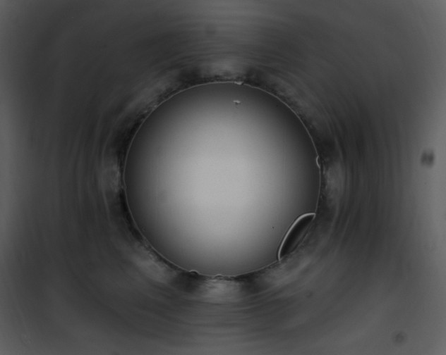 X0000102000617200807181206