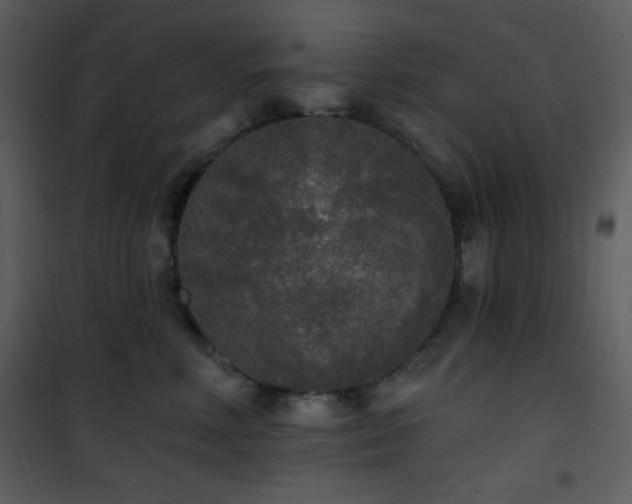 X0000102000618200807181206