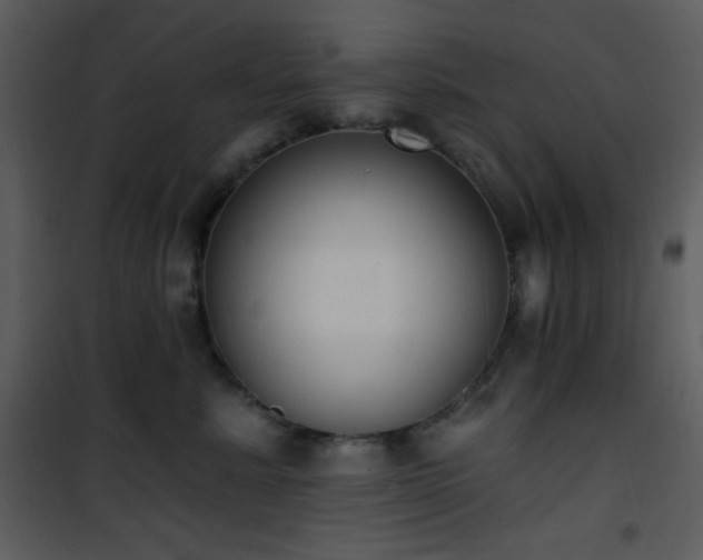 X0000102000619200807181206